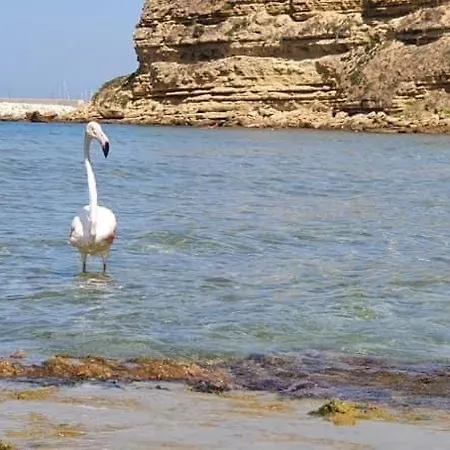 Apartament Sicily *